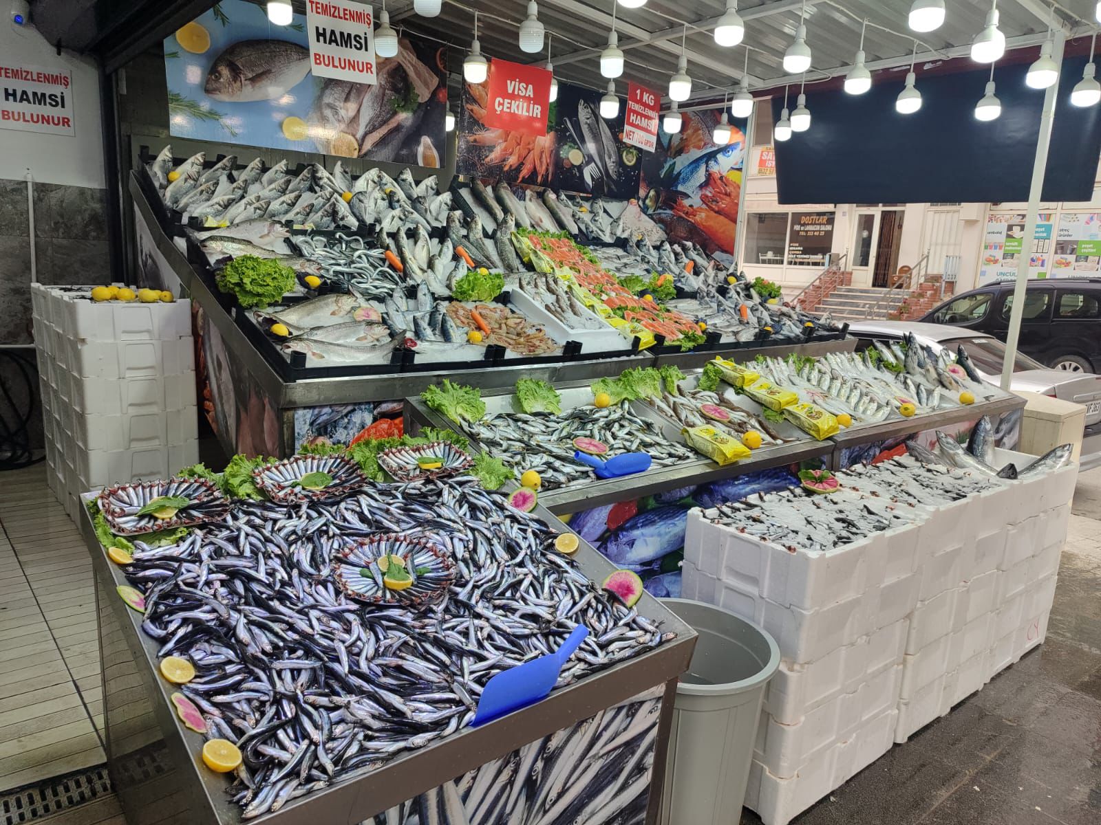 Lider Balıkçılık